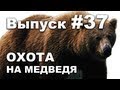 Выпуск 37: Охота на медведя с дерева видео 2013 Bear hunting in Russia.