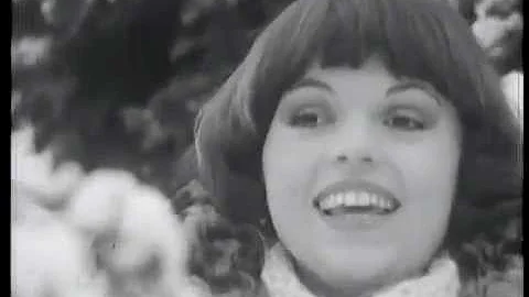 Maria Nagy   Vis de noapte