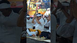 Download Lagu Melaspas Petapakan di Pura Dalem Kutuh, Br. Munggu Gulingan MP3