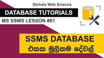 Database Tutorials - SSMS Lesson 01 | SSMS Database එකක මූලිකම දේවල්