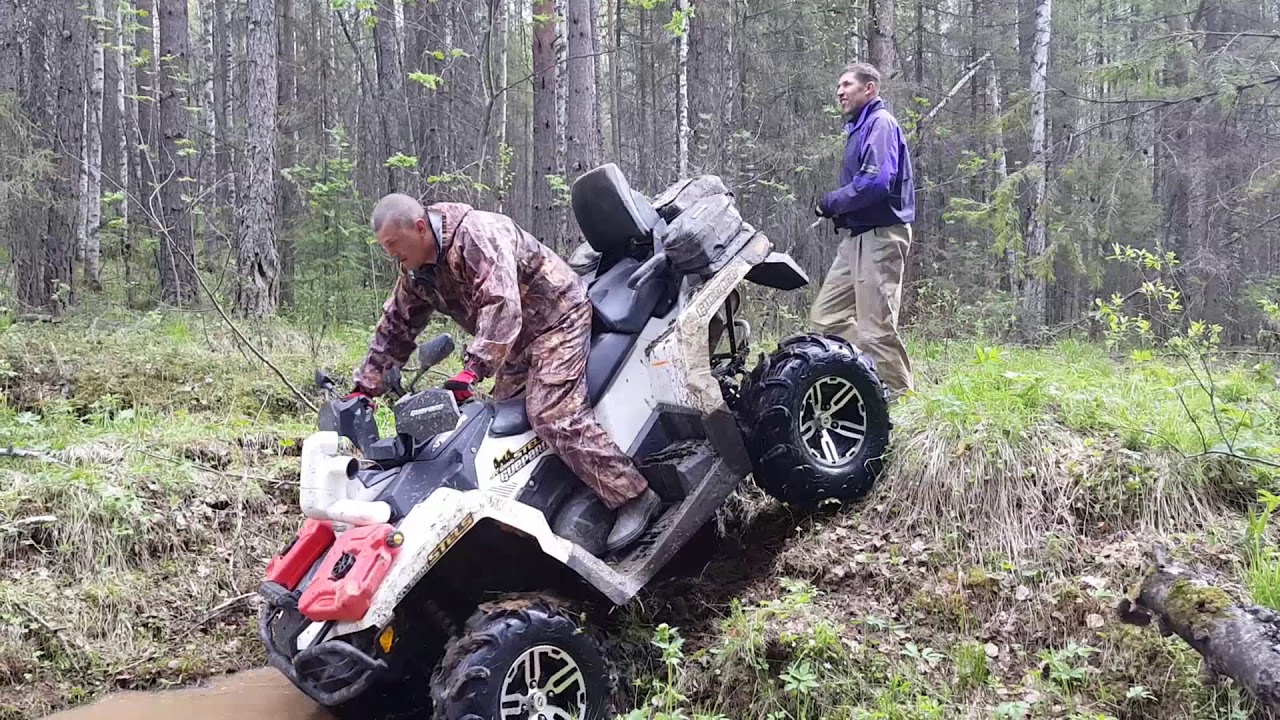 Включи видео квадробика