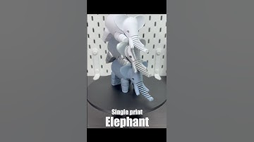Single Print Elephant