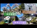 「染井霊園〜ゲーテの小径〜飛鳥山公園」（2026年4月3日）