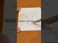 ストーンペーパーに描いた絵を水中で消してみた #shorts #おもしろ動画 #やってみた #検証