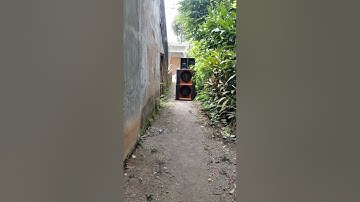 Tes power class d ucd superlite