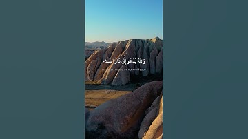 سورة يونس الآية 25 للقارئ رعد الكردي