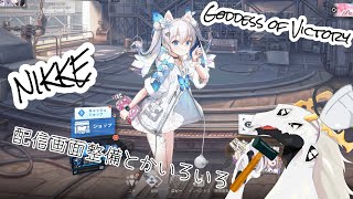 【 #勝利の女神NIKKE 】地獄を自分で整備する多眼龍【作業配信】