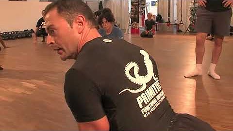 Primitive Functional Movement® Educational Course