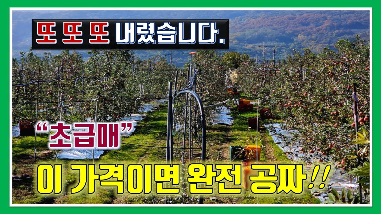 밀양 토지 매매 - 매물1,242번(