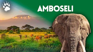 Amboseli National Park (Kenya) - A deserting paradise - HD environment documentary