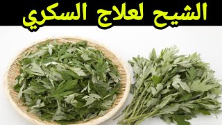 الشيح لعلاج السكري نهائيا