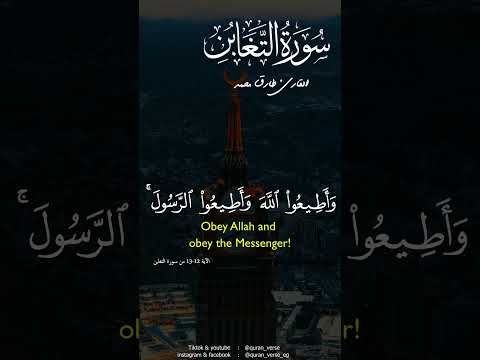 وأطيعوا الله وأطيعوا الرسول فإن توليتم فإنما على رسولنا البلاغ المبين طارق محمد