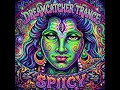Spiicy - Dreamcatcher Trance | Bahramji, Manees De Moor | Official Audio
