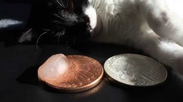 Can You Trust The Ice Test?