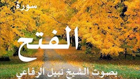 048  سورة الفتح بصوت الشيخ نبيل الرفاعي