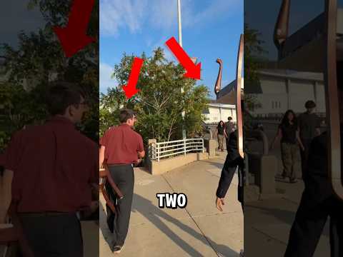 They Brought Chairs To The River For This Sehar Shorts