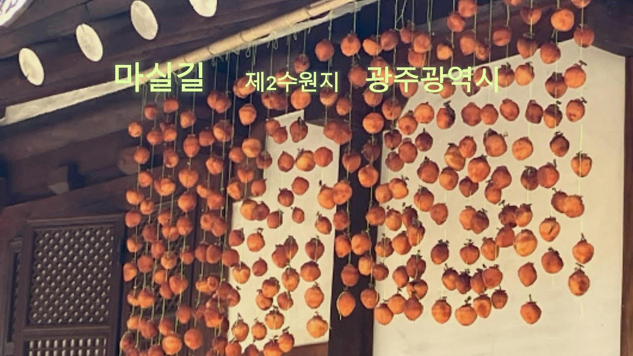 광주광역시 제2수원지를 뚜벅거리다; 