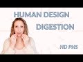 Human Design Variables: Digestion Types (Color PHS) Pt 1