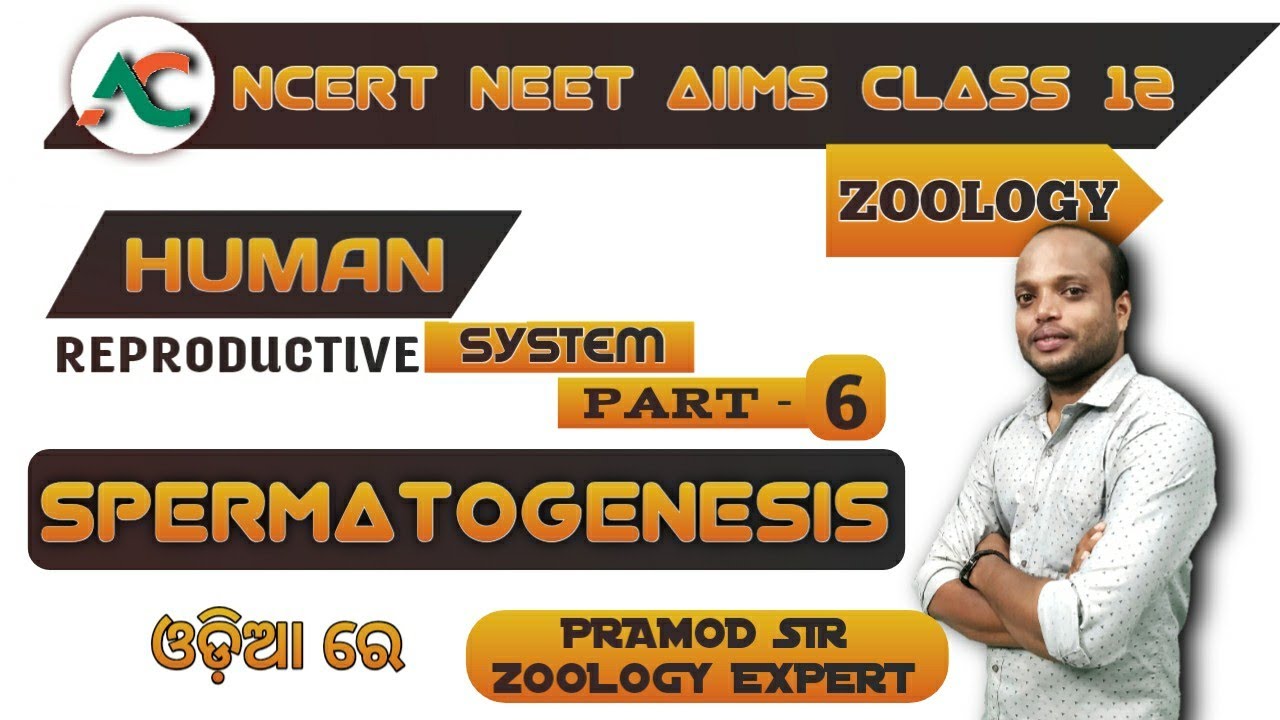 Spermatogenesis  | Oogenesis | NEET | NCERT | ADHYAYAN CLASSES | PRAMOD SIR | Human reproductive