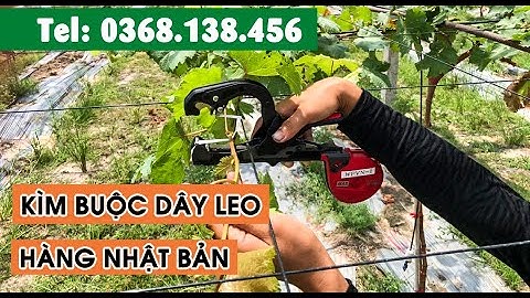Kìm buộc dây leo  I  Máy buộc cành vào giàn leo  I  Tape tool I Buộc chanh leo, nho, bầu bí, dưa...