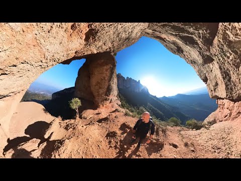 Video: Arreglos y diseños de paisaje de camas de flores que dejan caer las mandíbulas