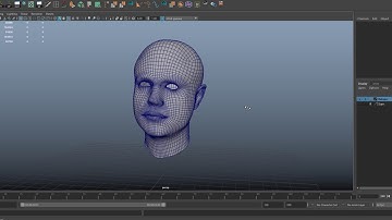 Scanning Retopology Head
