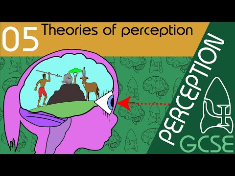 Video: Development Of Perception - Alternative View