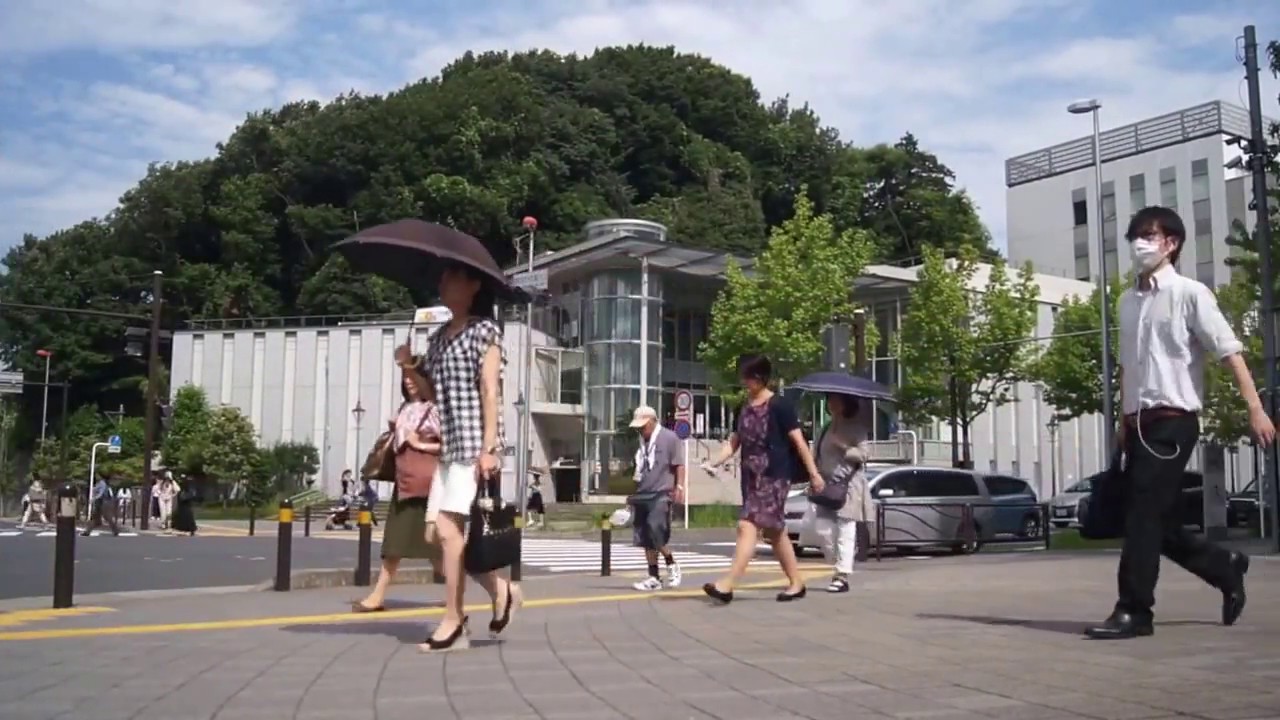 新百合ヶ丘 北口からすぐの「新百合山手中央通り」 YouTube 新百合ヶ丘 北口からすぐの「新百合山手中央通り」 YouTube