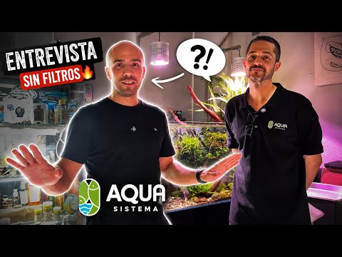 🎙️ The TRUTH about owning an AQUARIUM SHOP | UNCUT Interview
