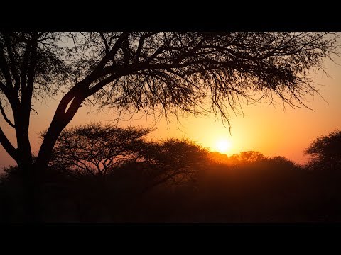 South Africa - Wine lands, Cape Town, Johannesburg and Sable Ranch - Drone Footage