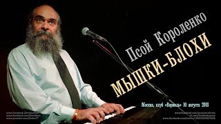 картинка: Псой Короленко «Грустная песенка» (Мышки-блохи)