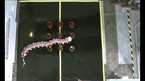 Robotic worm to the rescue