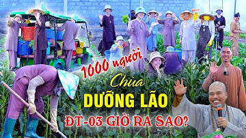 Thầy Nhuận Đức hoàn tục, cuộc sống ở Viện Dưỡng Lão - Đạo Tràng 3 chùa Đại Tòng Lâm giờ ra sao?
