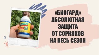 УДОБРЕНИЯ ДЛЯ ЦВЕТОВ ВЕСНОЙ ❌ КАК ИЗБАВИТЬСЯ ОТ СОРНЯКОВ И ТРАВЫ ЛЕГКО И НАДОЛГО 💡