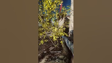 #battlefield4 Low player count mayhem, adds to the realism.