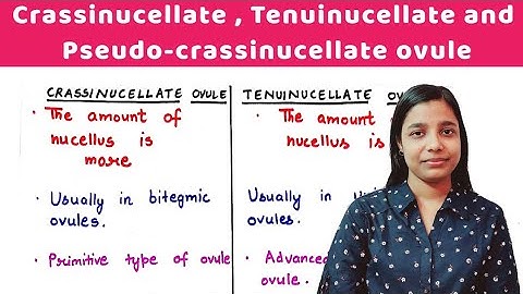 crassinucellate and tenuinucellate ovule | pseudo-crassinucellate ovule | by Jyoti Verma