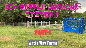 DIY Cattle Working System Part 1