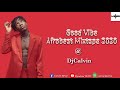 Latest Naija Mix 2020 | Good vibez Afrobeat | JUNE2020 | @ Djcalvin