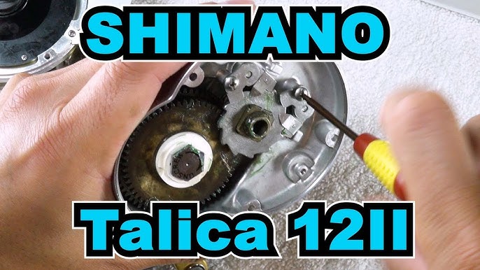 Shimano Talica 25 Two Speed- Into the Blue 