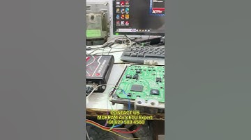 TATA-HYUNDAI DELPHI DCM3.7AP READ-WRITE SUCCESSFUL #petshub #birdtrend #bome #guess #relatable