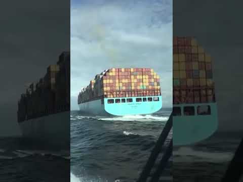 Звуки со дна Марианской впадины😱 #shorts