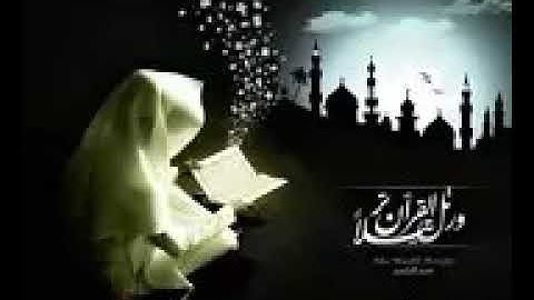 الشيخ /معتصم عراقي تلاوة خيالية