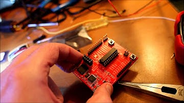 Launched my first MSP-430 project straight to the breadboard