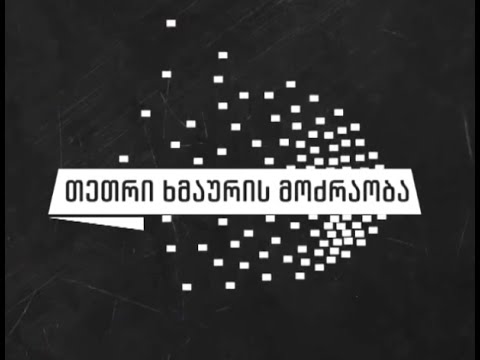 ”თეთრი ხმაურის მოძრაობა” ნარკოპოლიტიკის შესახებ