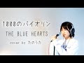 1000のバイオリン / THE BLUE HEARTS cover by たのうた