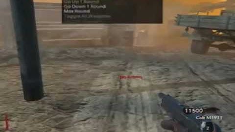 Call of Duty World at War 11th Prestige lobby WITH Mod Menu.Hosted Daily