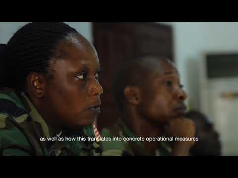 Working for the ICRC – Armed Forces & Non State Armed Groups Delegate