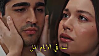 لسه في الايام امل مستنينه شيرين عبد الوهاب سيران وفريد طائر الرفراف - غردها