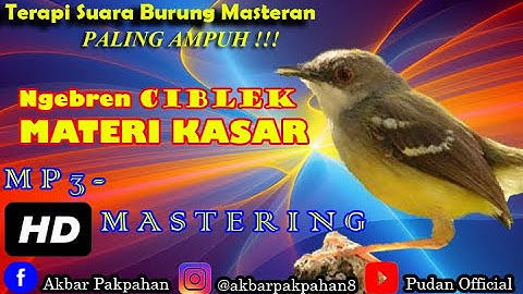 MP3 MASTERAN - CIBLEK NGEBREN MATERI KASAR SUARA JERNIH JEDA 1 - 2 MENIT