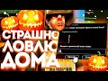 🎃СТРАШНО ЛОВЛЮ ДОМА С ЧИТАМИ НА DIAMOND RP & СЛОВИЛ 3 БИЗНЕСА GTA SAMP